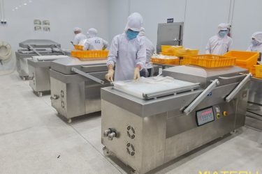 So sánh chi tiết các dòng máy hút chân không công nghiệp