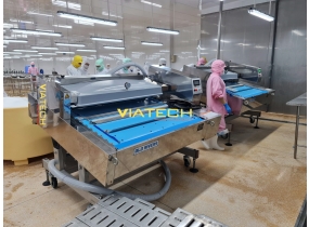 Máy hút chân không băng tải