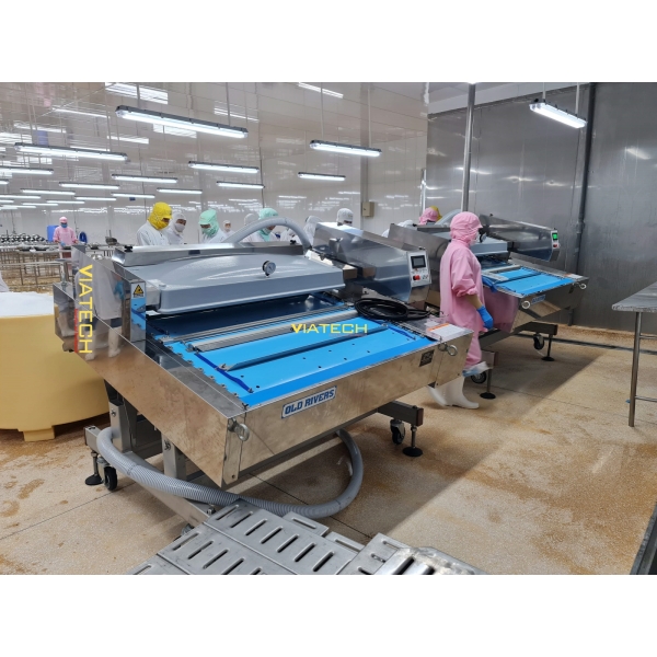 Máy hút chân không băng tải