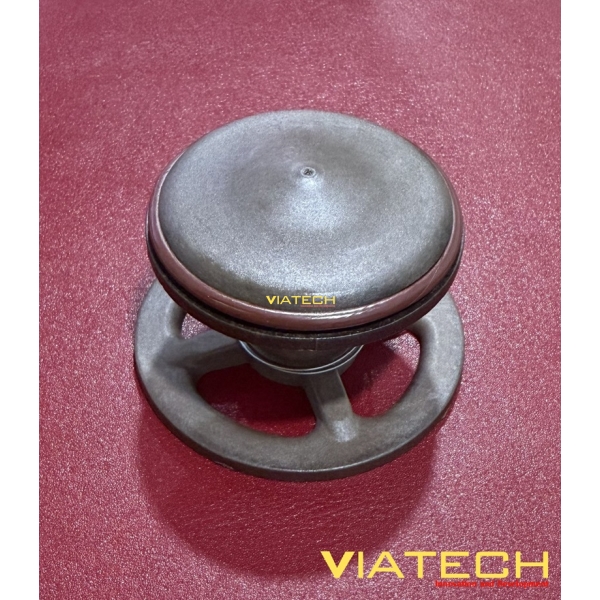 Van Hút (Suction Valve) Trong Bơm Hút Chân Không R5